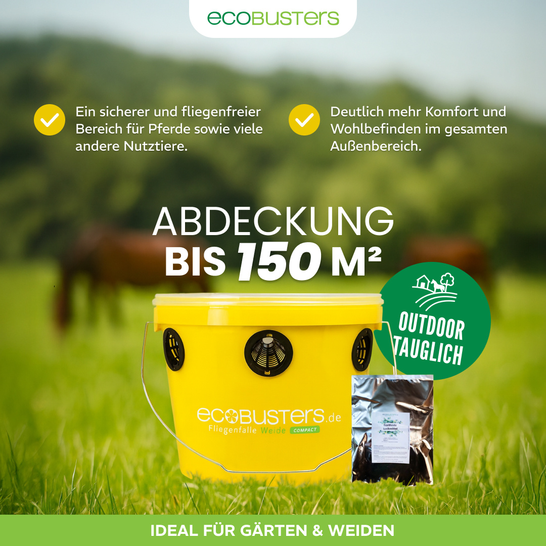 COMPACT PACK: Armadilha para moscas Compact + 240g Atraente