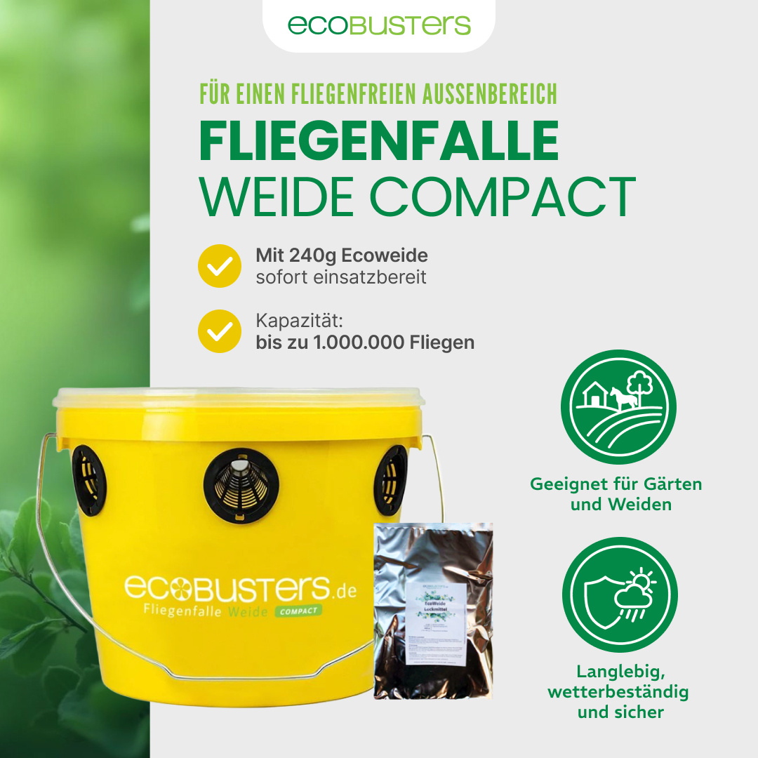 SET XL: Armadilha para moscas + Poste da montagem + 240g Atraente