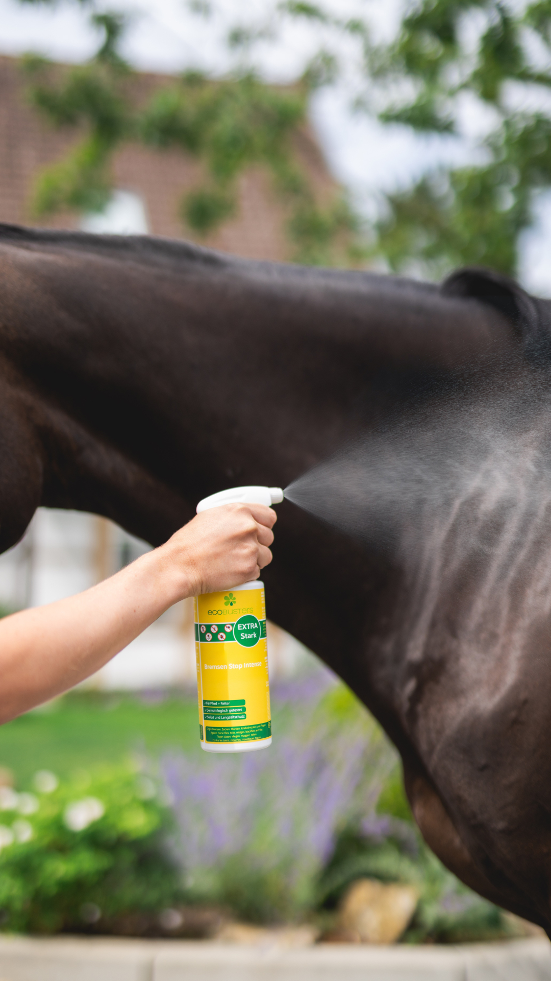 Insect Protection in Autumn – Why Insects Are Still a Concern