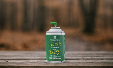 Waarom Insectenbescherming in de Winter Zo Belangrijk Is