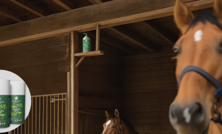 Winter Is the Best Time to Break the Insect Life Cycle: Here’s Why