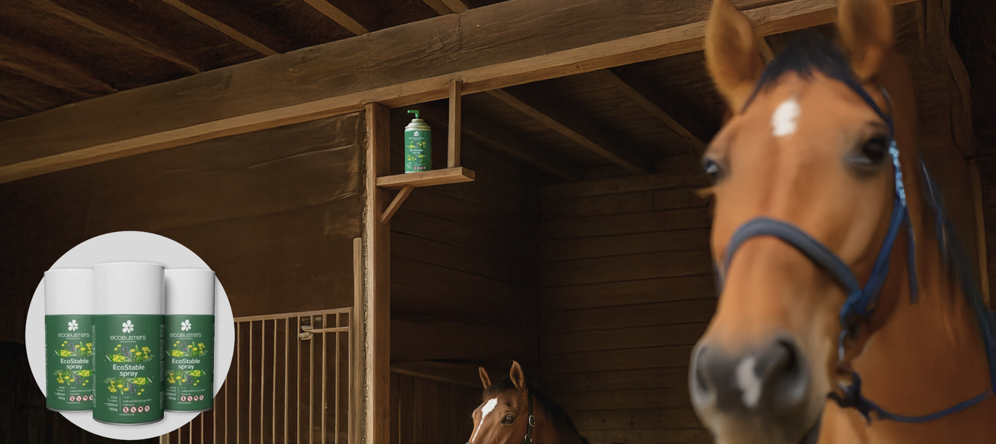 De winter is het perfecte moment is om de levenscyclus van insecten te doorbreken