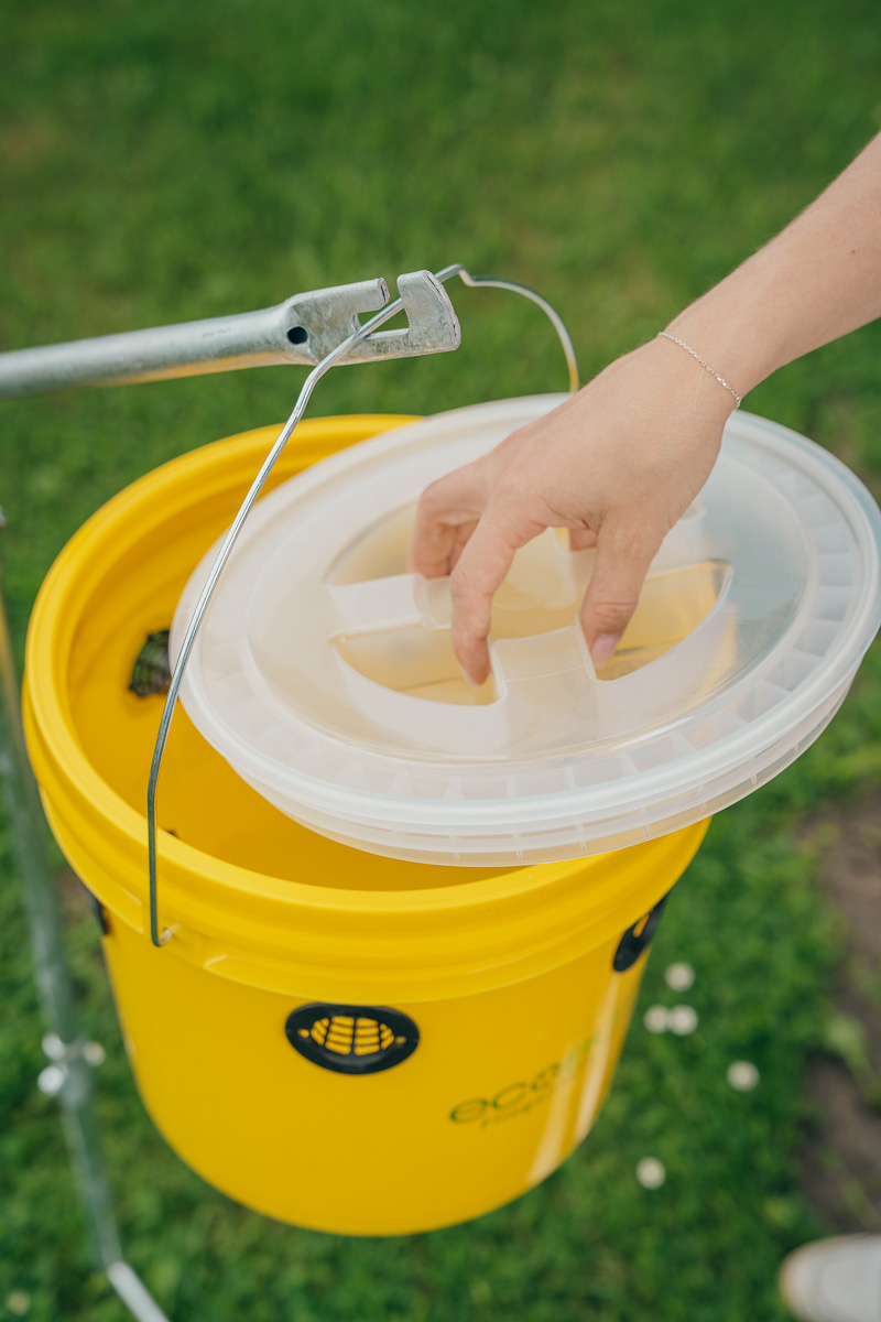 Fly Trap Meadow Professional (without attractant)