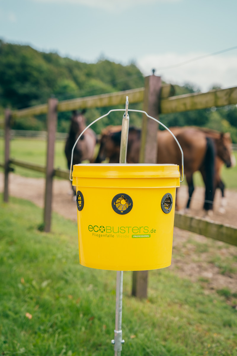 Fly Trap Meadow Professional (without attractant)