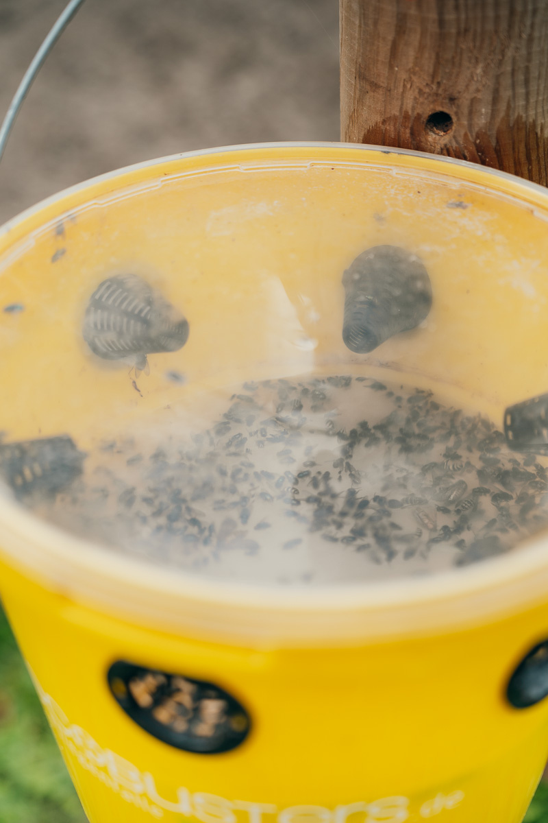 SUPER SET: Fly Trap Compact + 3x 240g Attractant