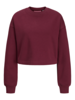 JXALLY CROPPED RLX LS CREW SWT