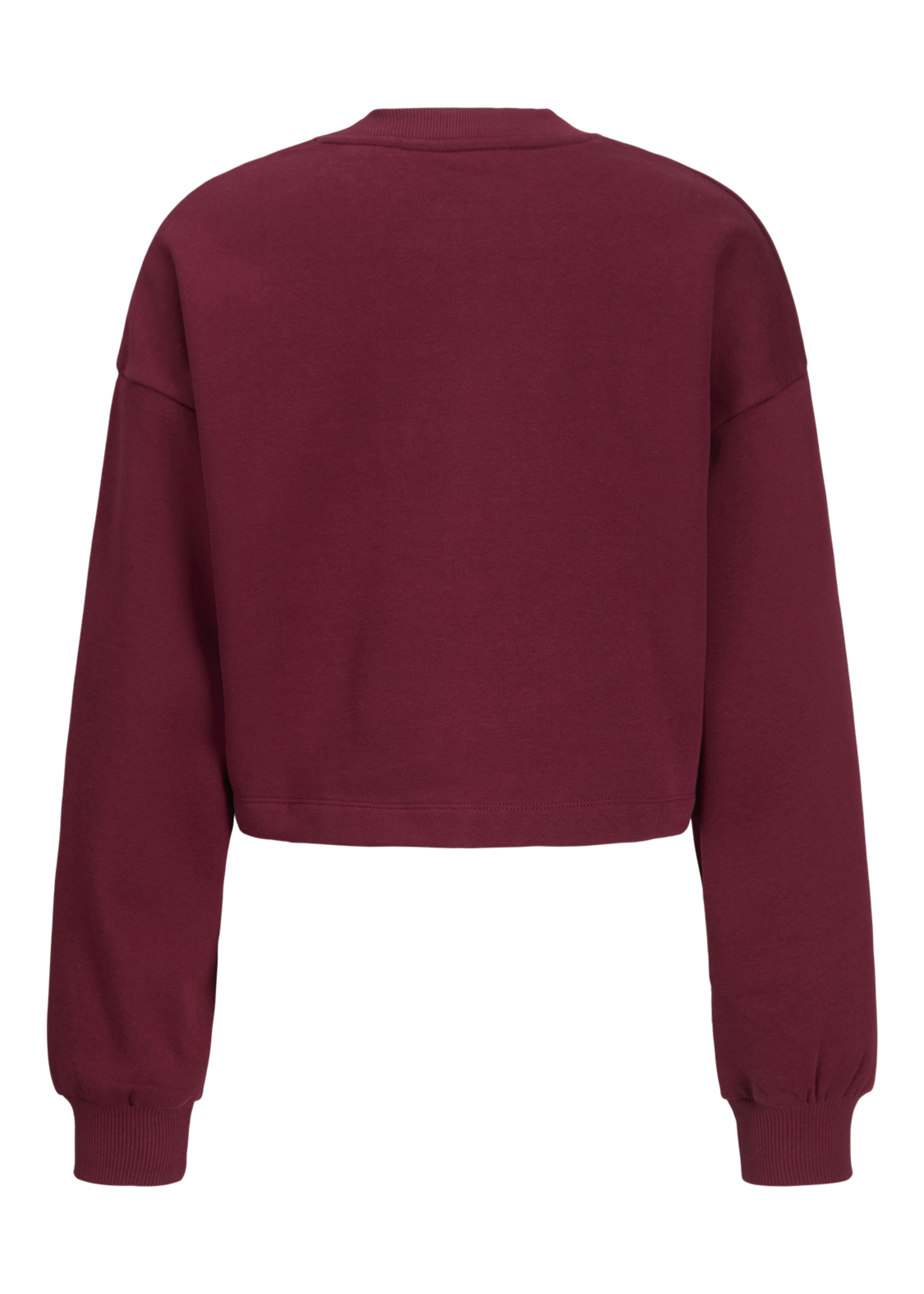 JXALLY CROPPED RLX LS CREW SWT