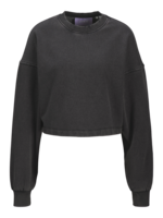 JXATHENA WASH LS CROPPED CREWNECK SWT