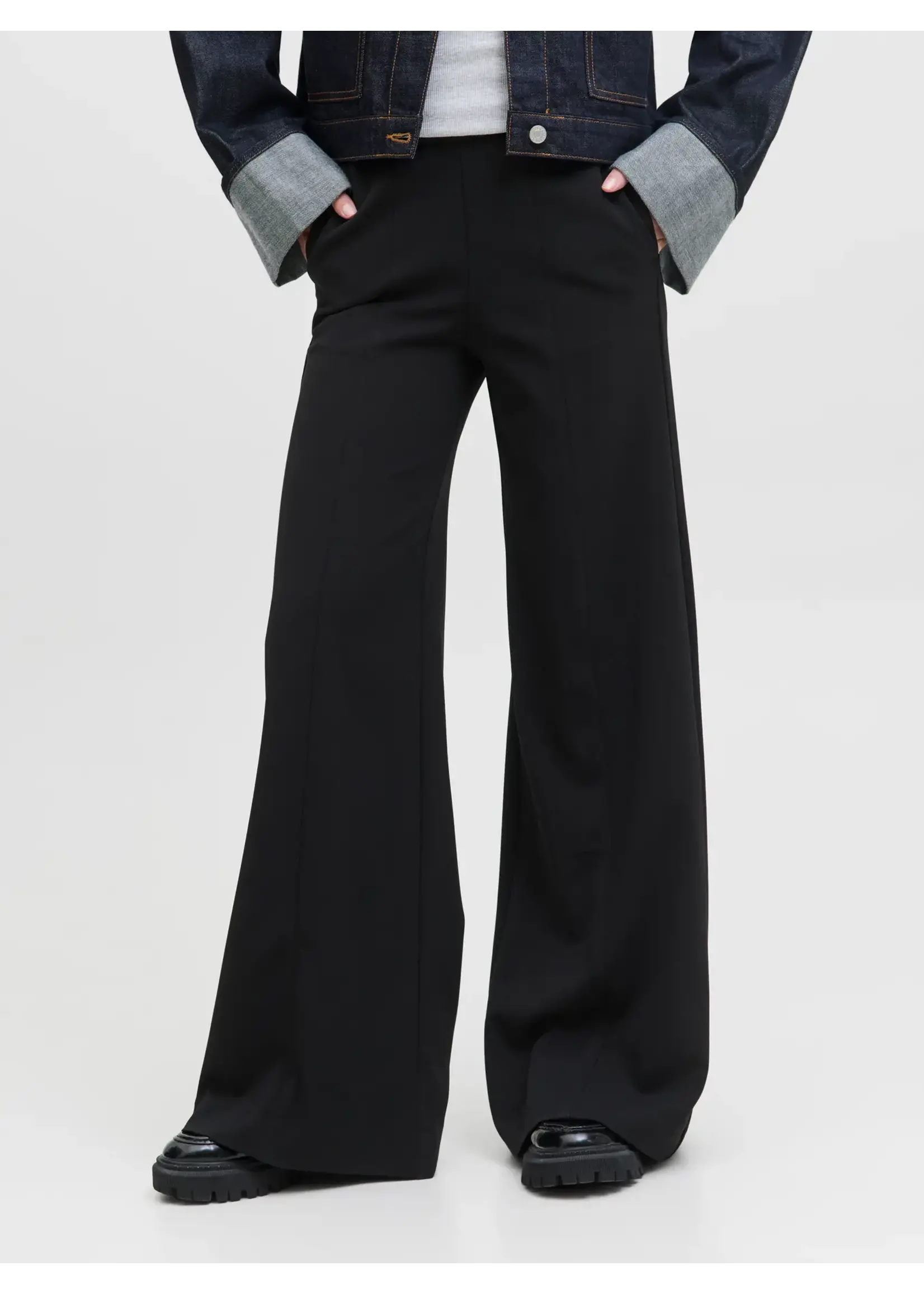 JXNANCY WIDE HW PANT PNT SN