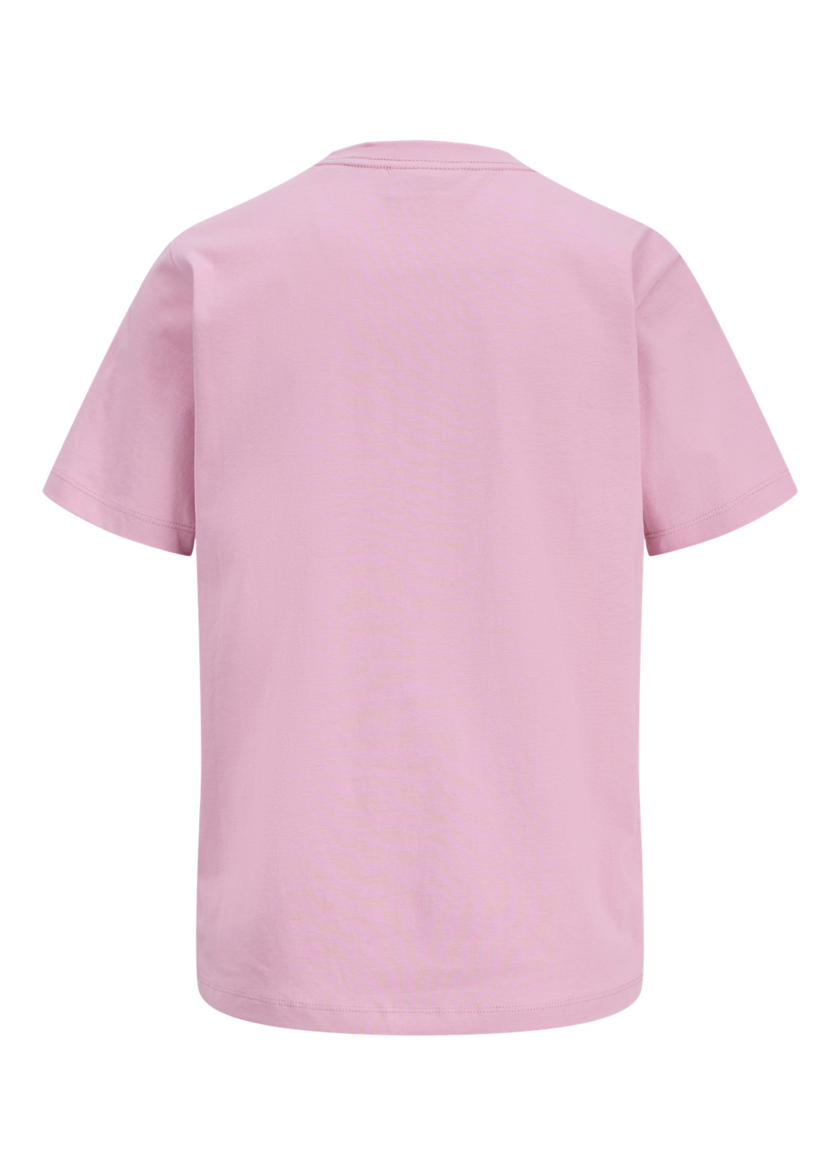 JJXX JXANNA REG SS EVERY TEE JRS NOOS ORCHID SMOKE