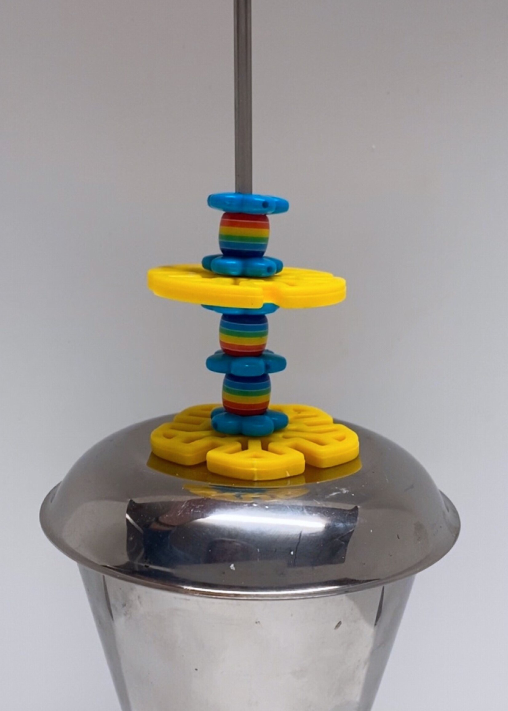 Gaaien-frutsels Regenboog foerage Senior