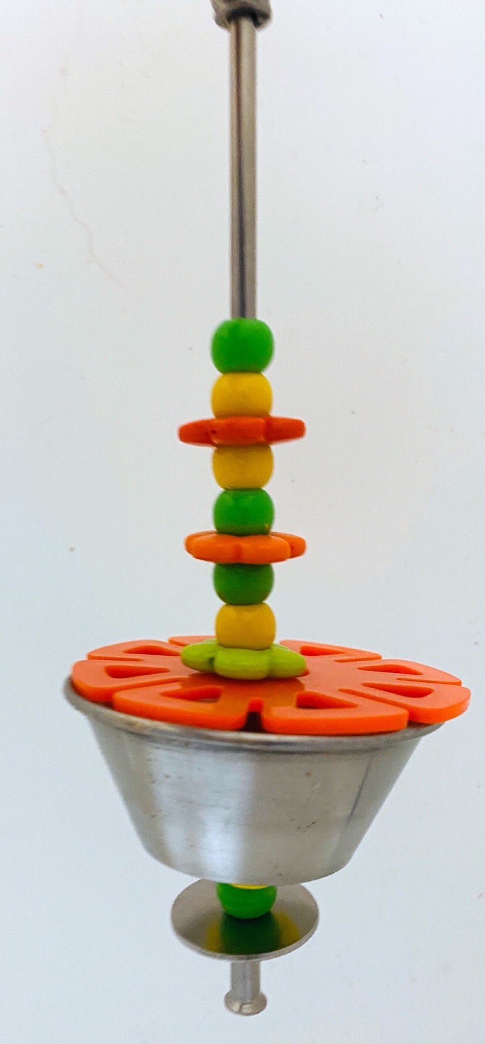 Rainbow forage petit