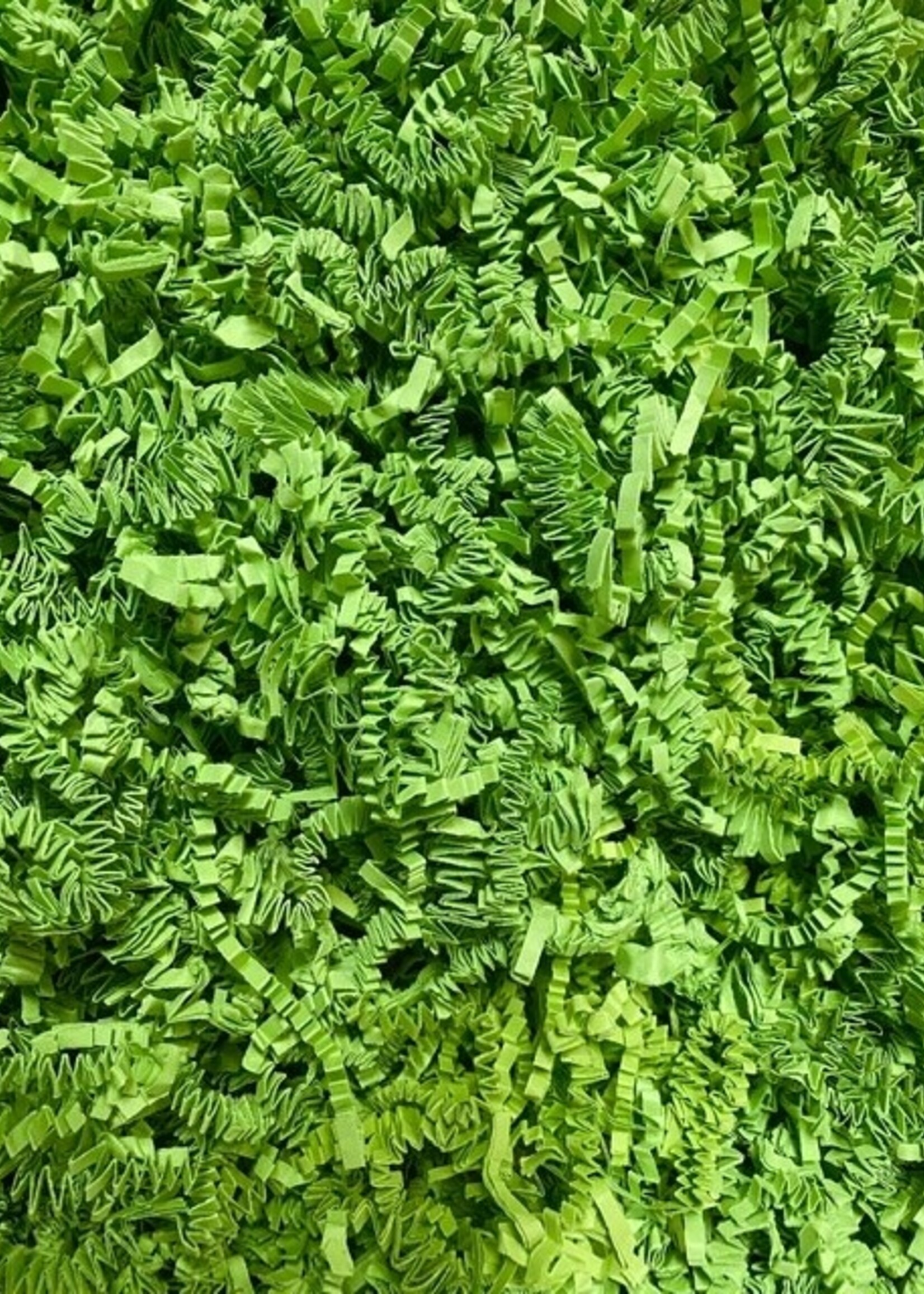 Gaaien-frutsels Paper strings Lime