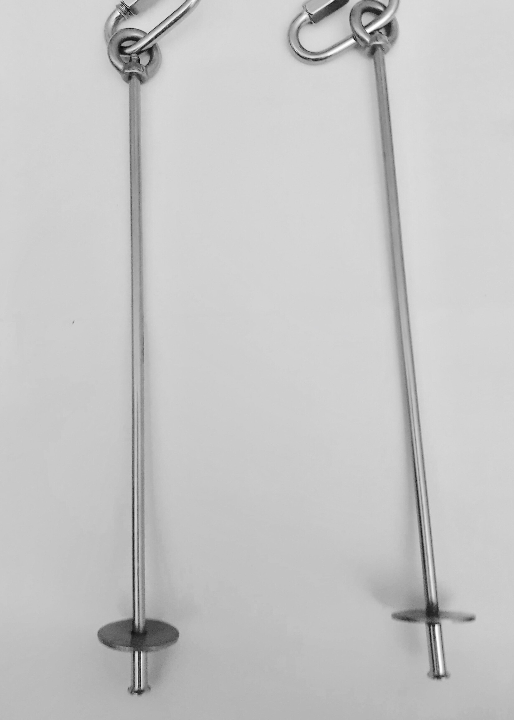 Gaaien-frutsels GF Rvs spies 25 cm