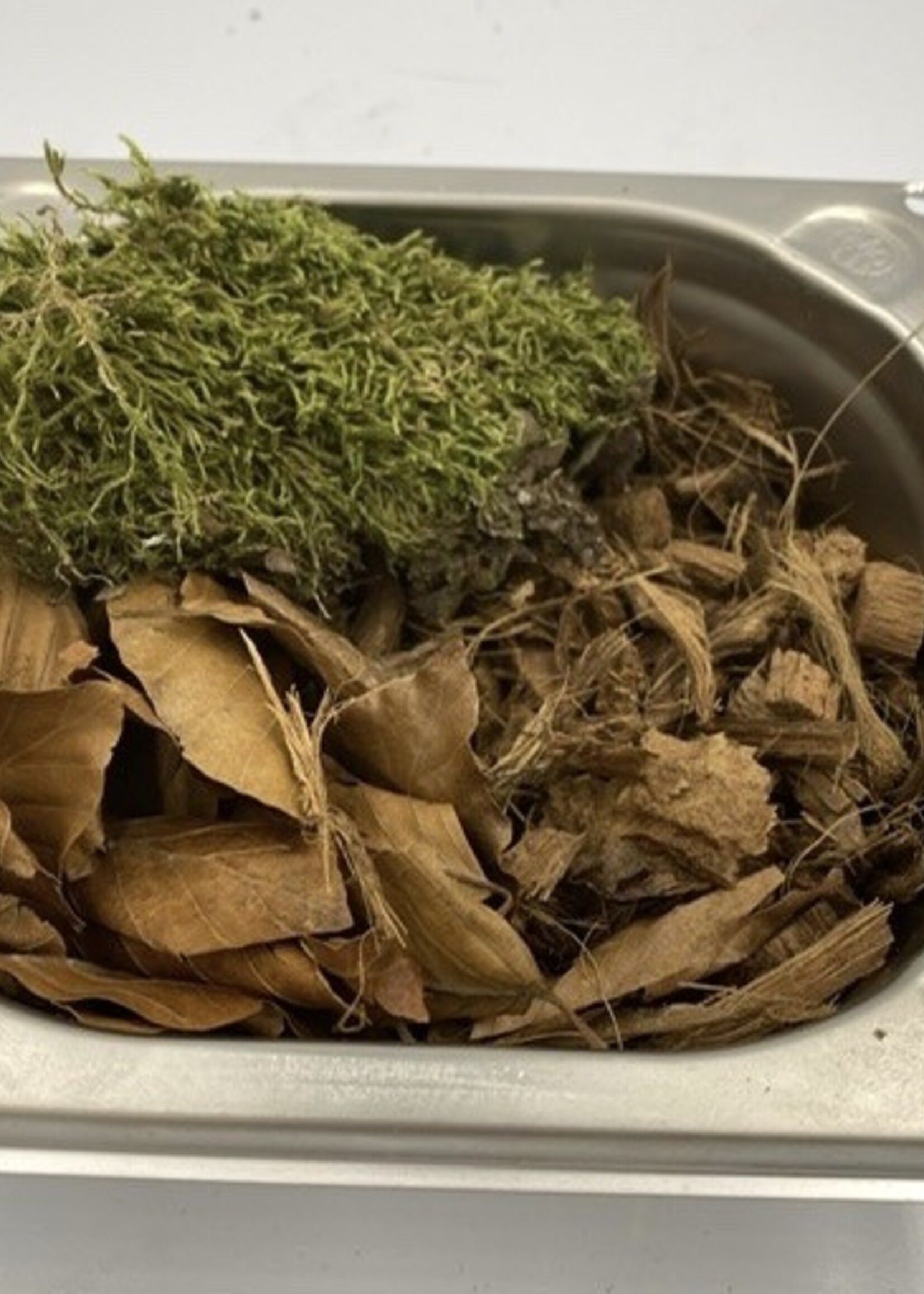 Gaaien-frutsels Discovery bak large