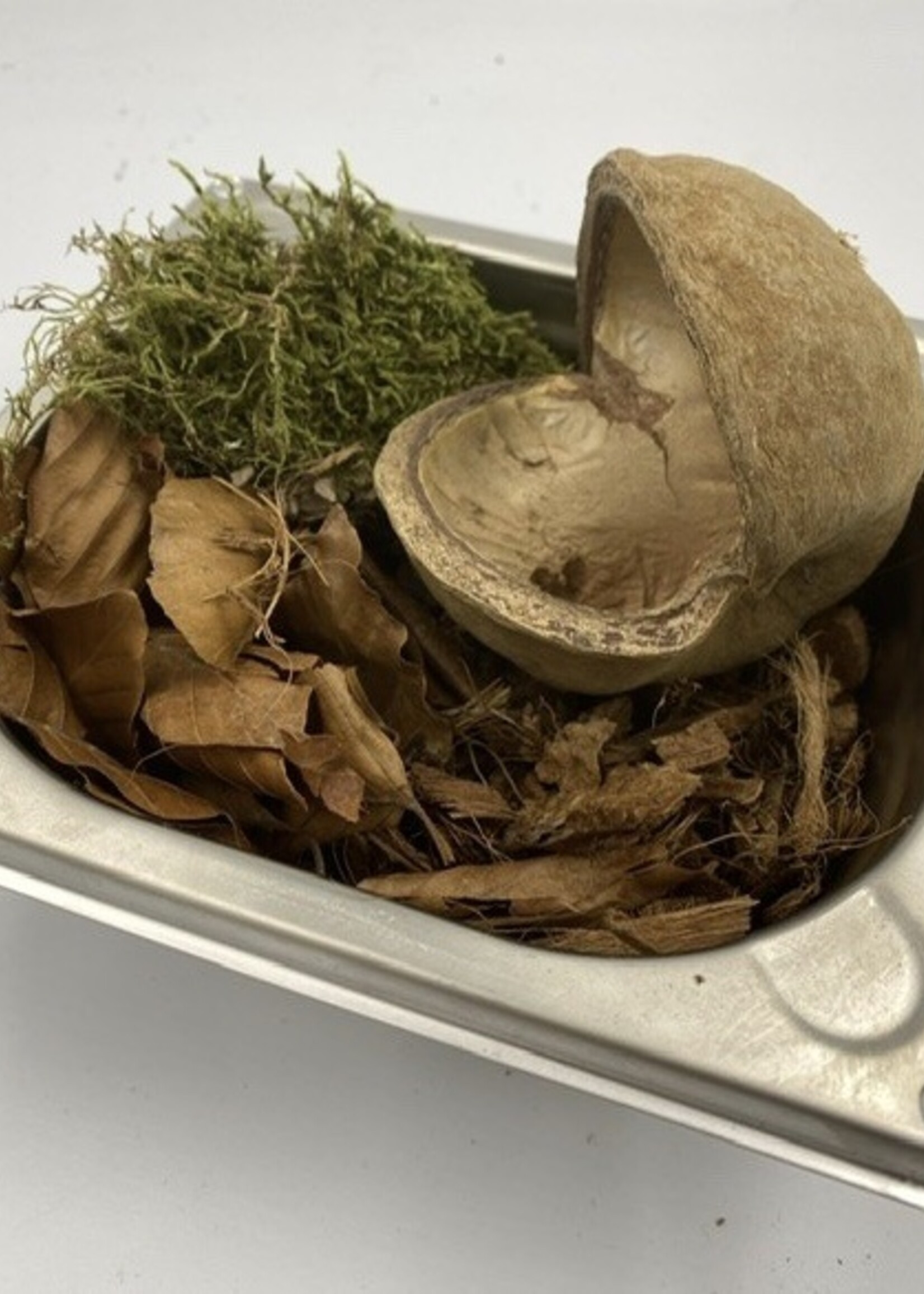 Gaaien-frutsels Discovery bak large