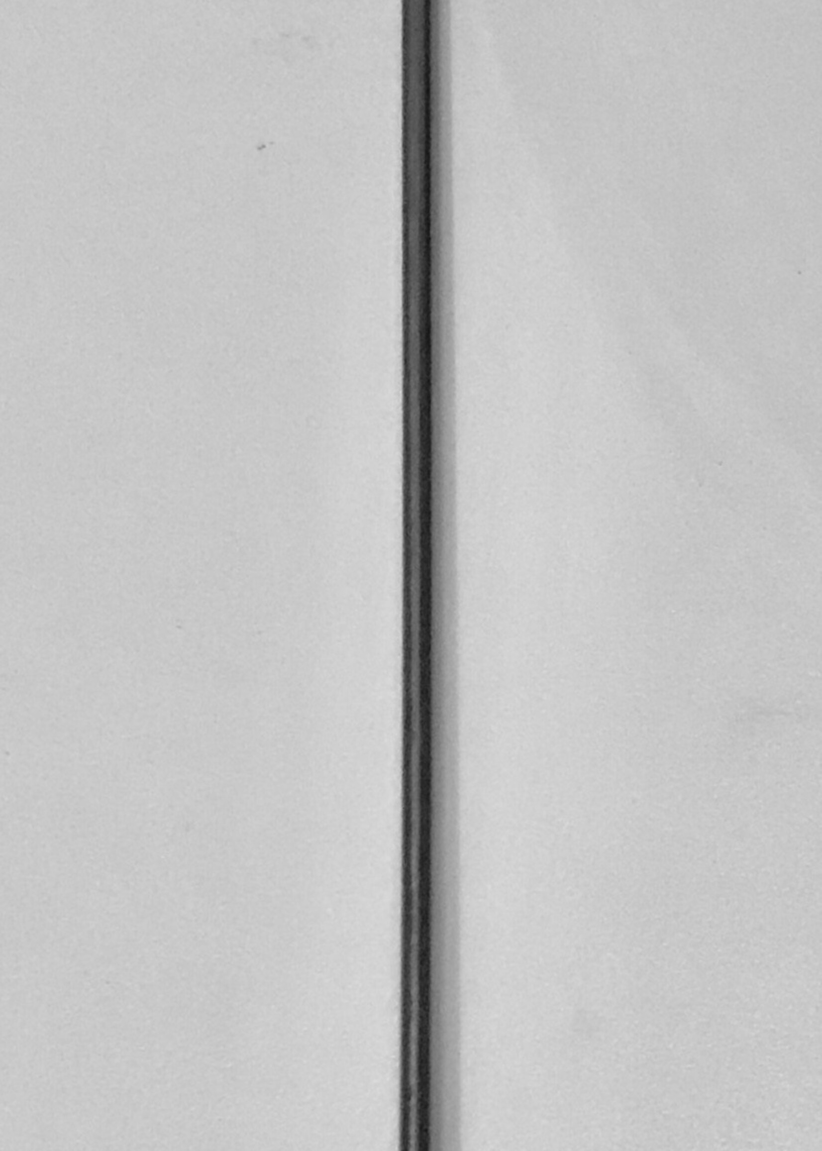 Gaaien-frutsels GF RvS skewer 30cm