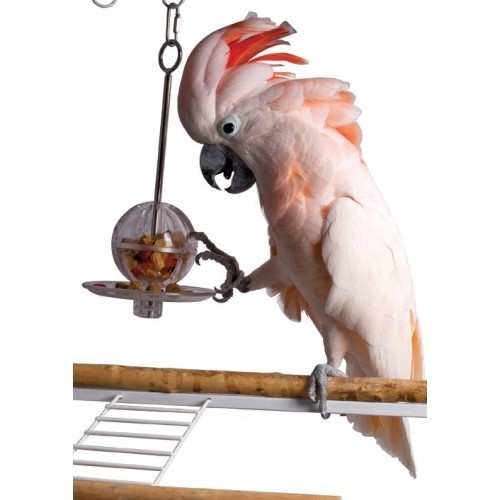 Hanging Buffet Ball