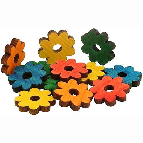 12st Pine Daisy, Mix Color