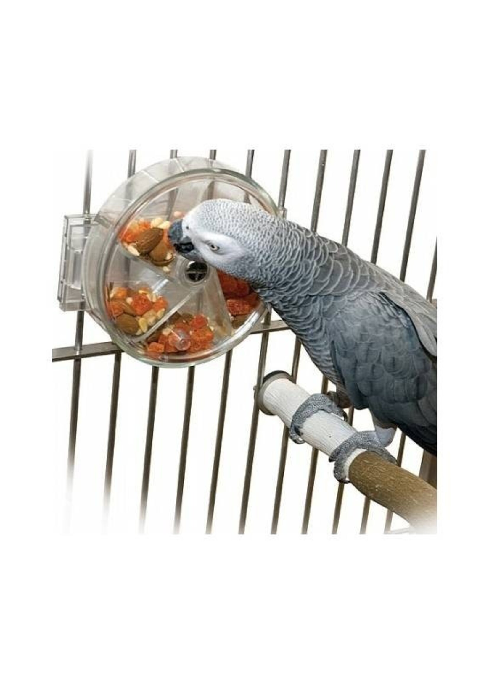 Original Foraging Wheel - Interactive Parrot Toy