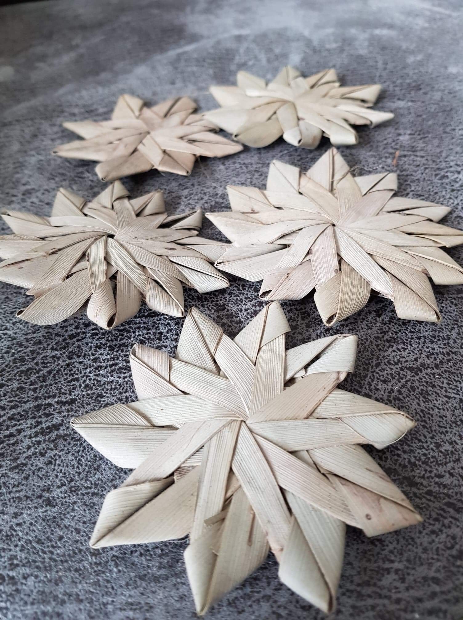 palmbloem klein