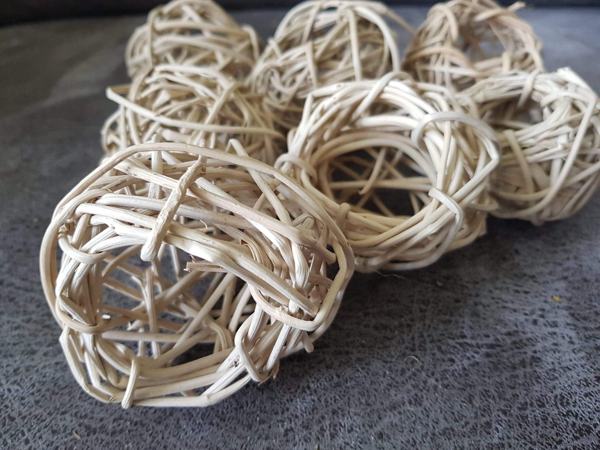Vogel nest
