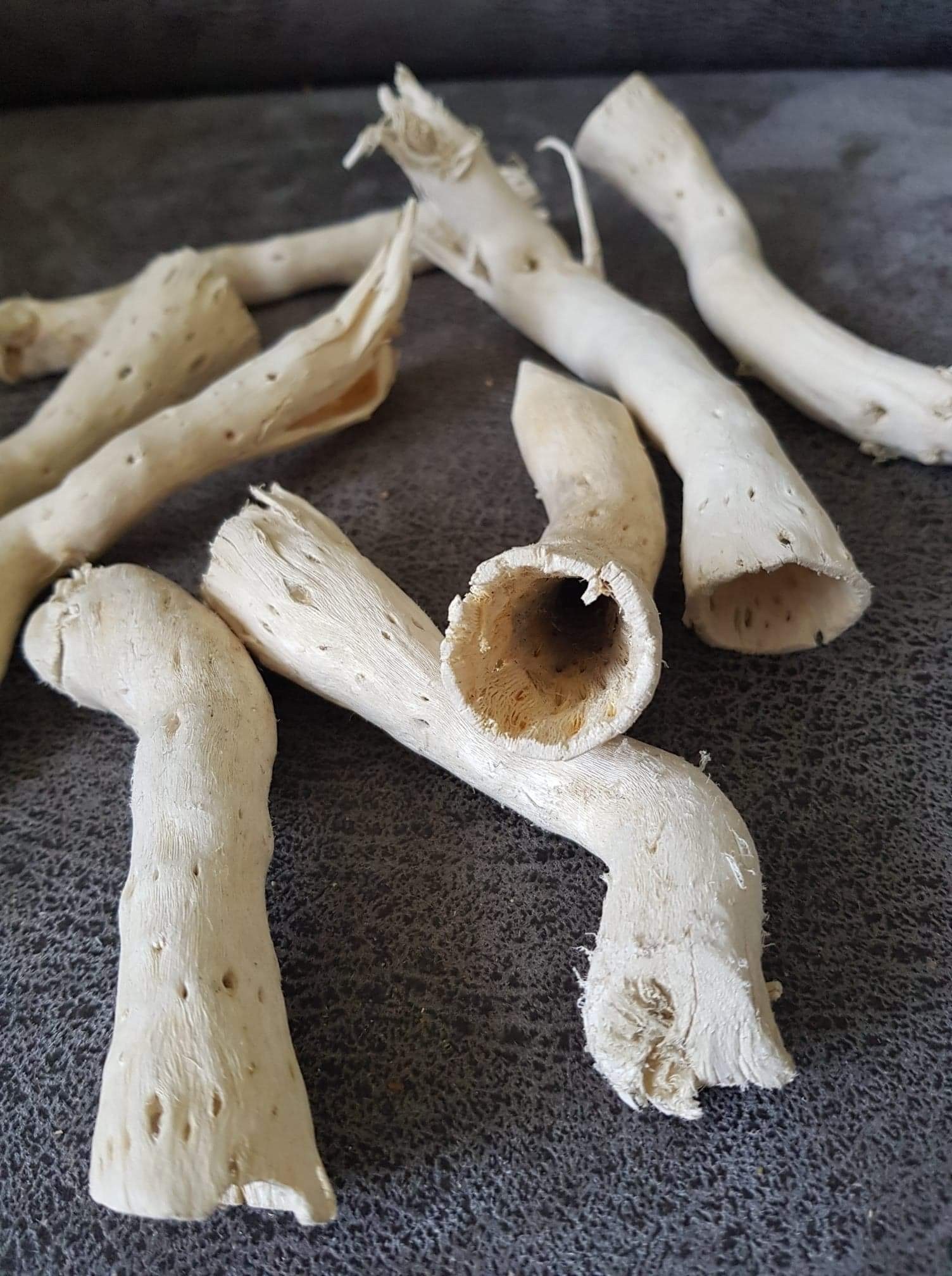 Nature root