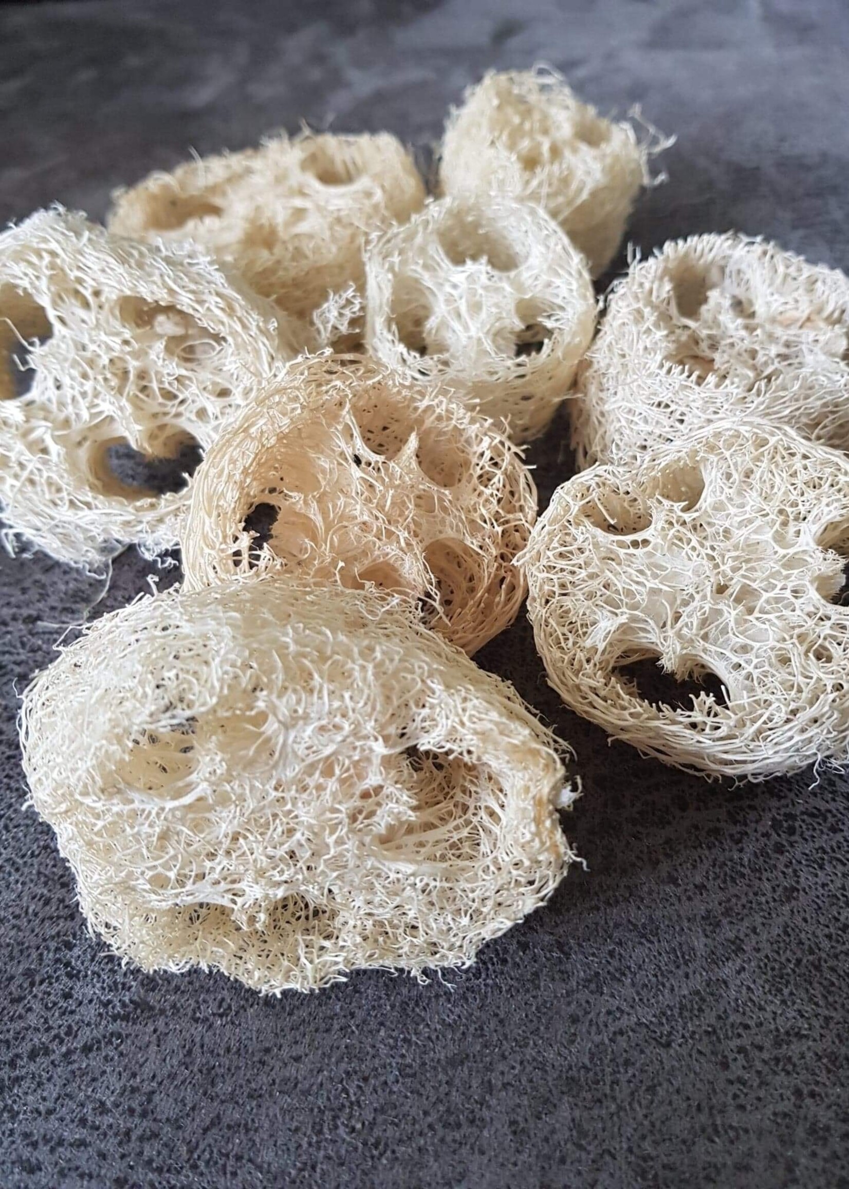Loofah slices