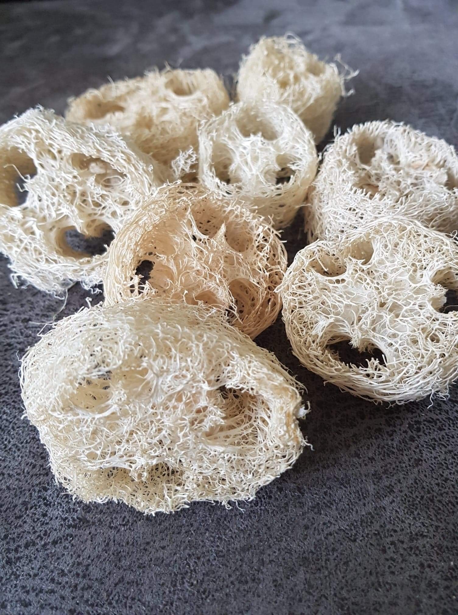 Loofah slices
