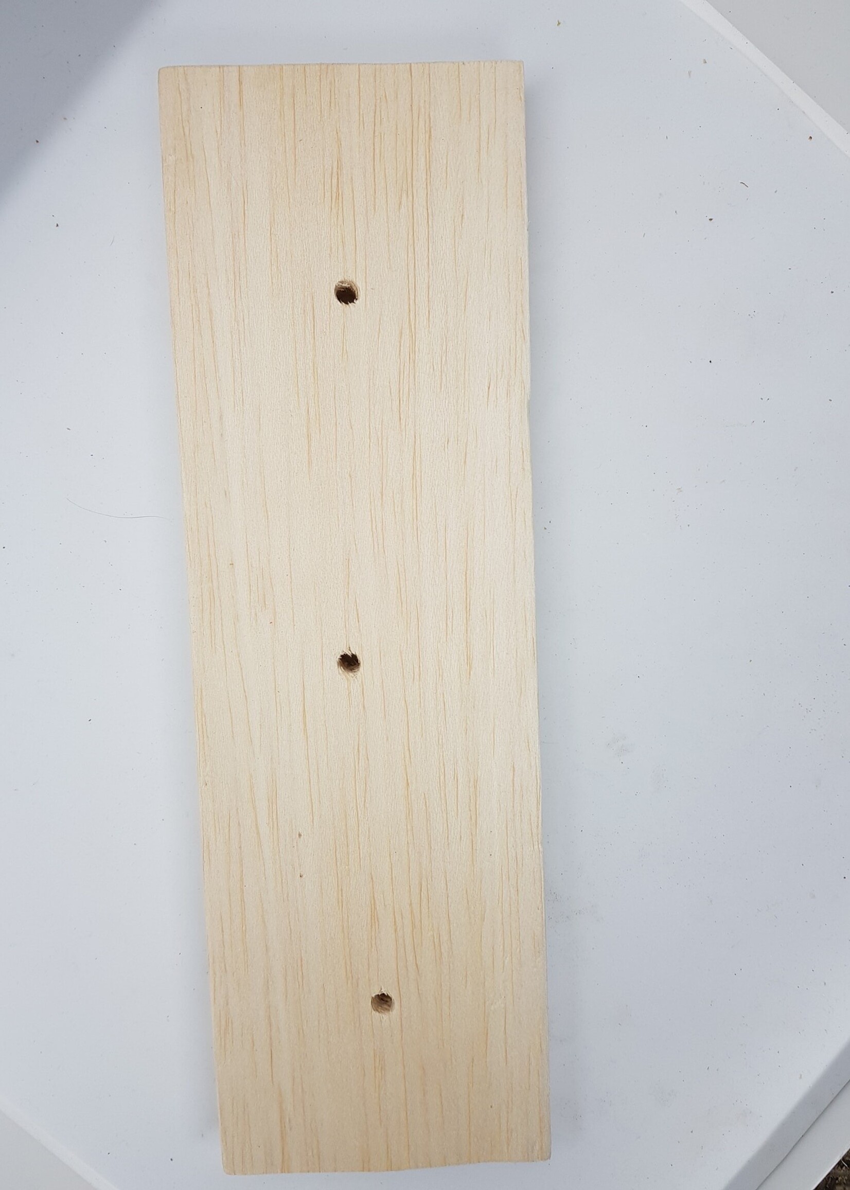 Gaaien-frutsels Balsa plank 25x10x1,5