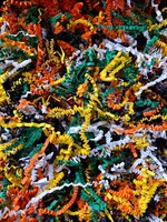Gaaien-frutsels Paper strings mix Caique