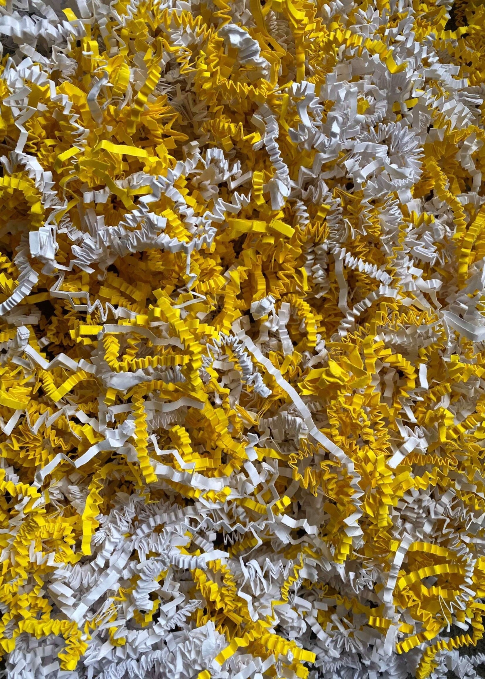Gaaien-frutsels Papieren sliertjes mix Geel kuif kaketoe