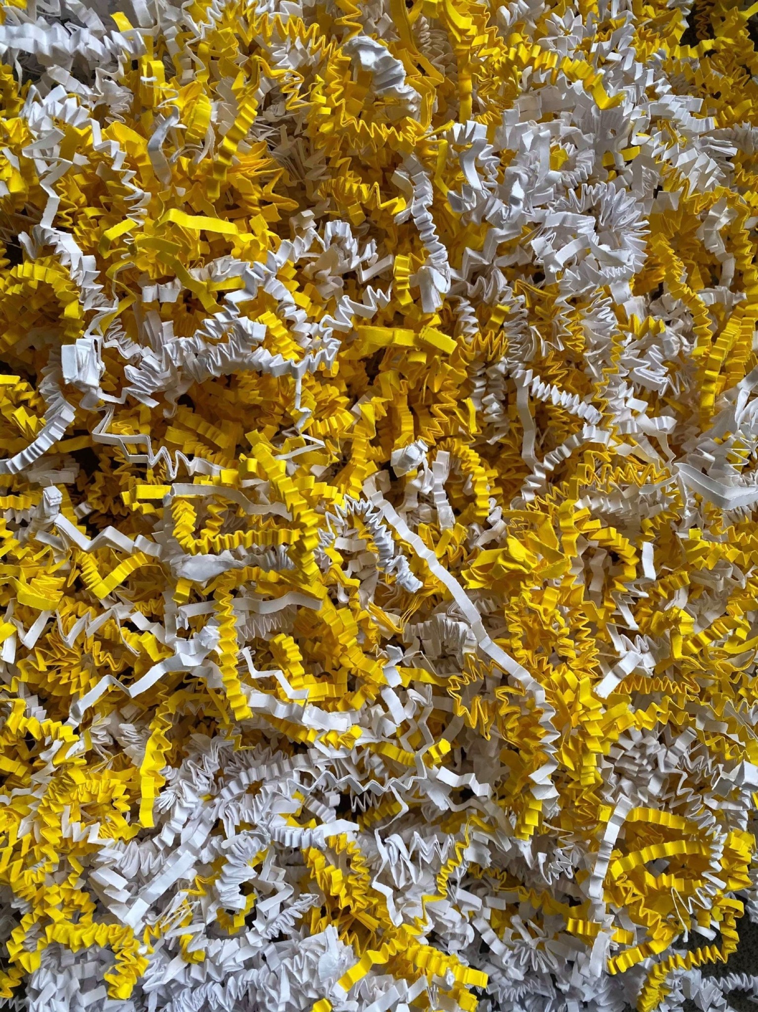 Paper strings mix Yellow crested cockatoo