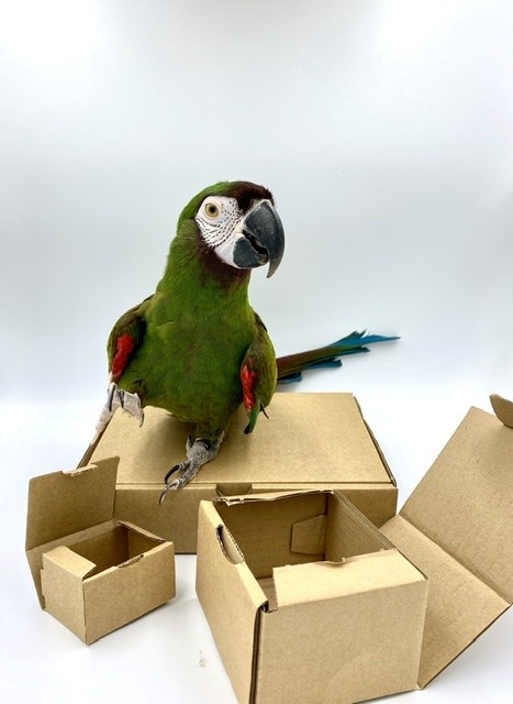 Knutsel doosje 1