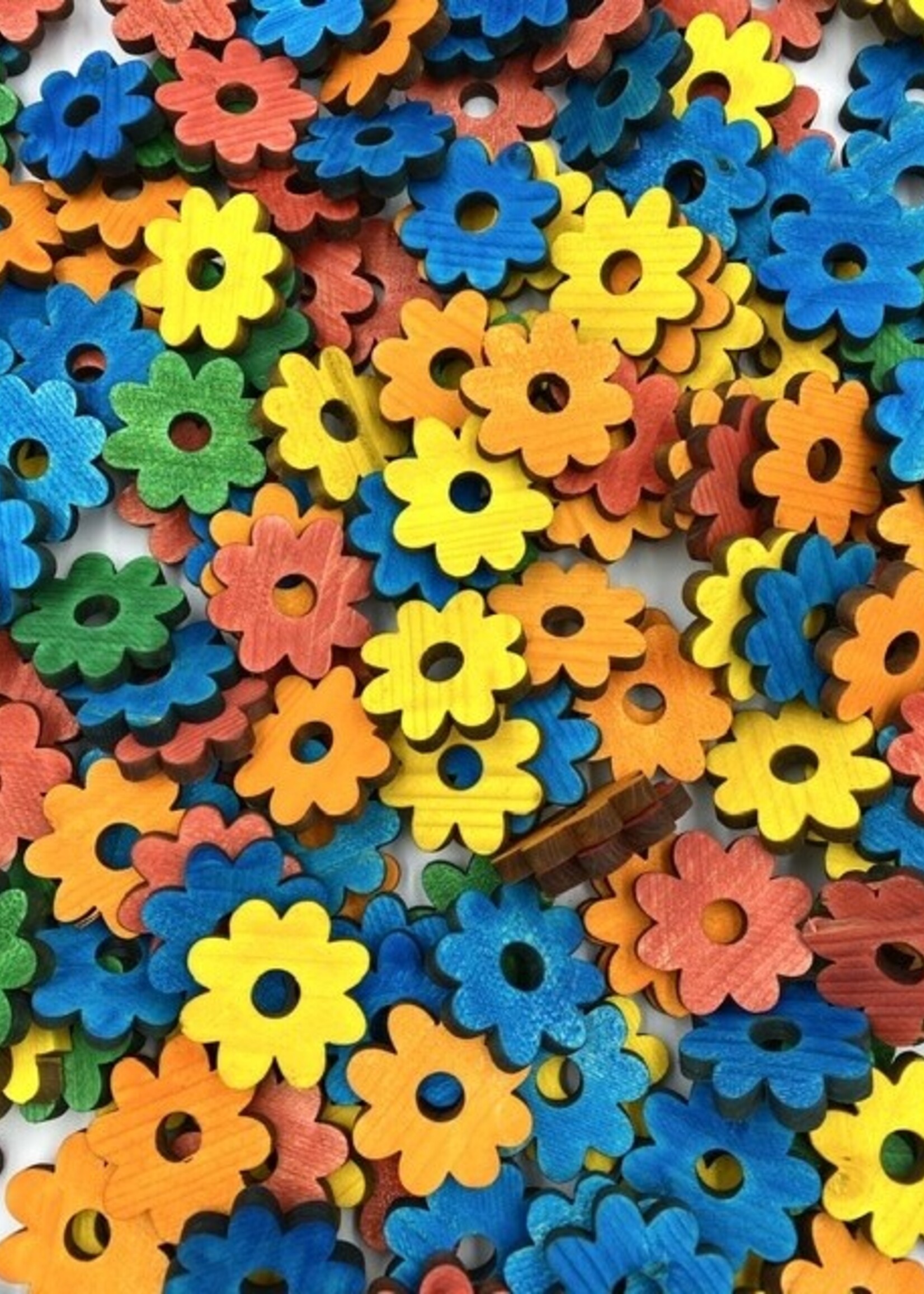 Pine daisy flower per piece