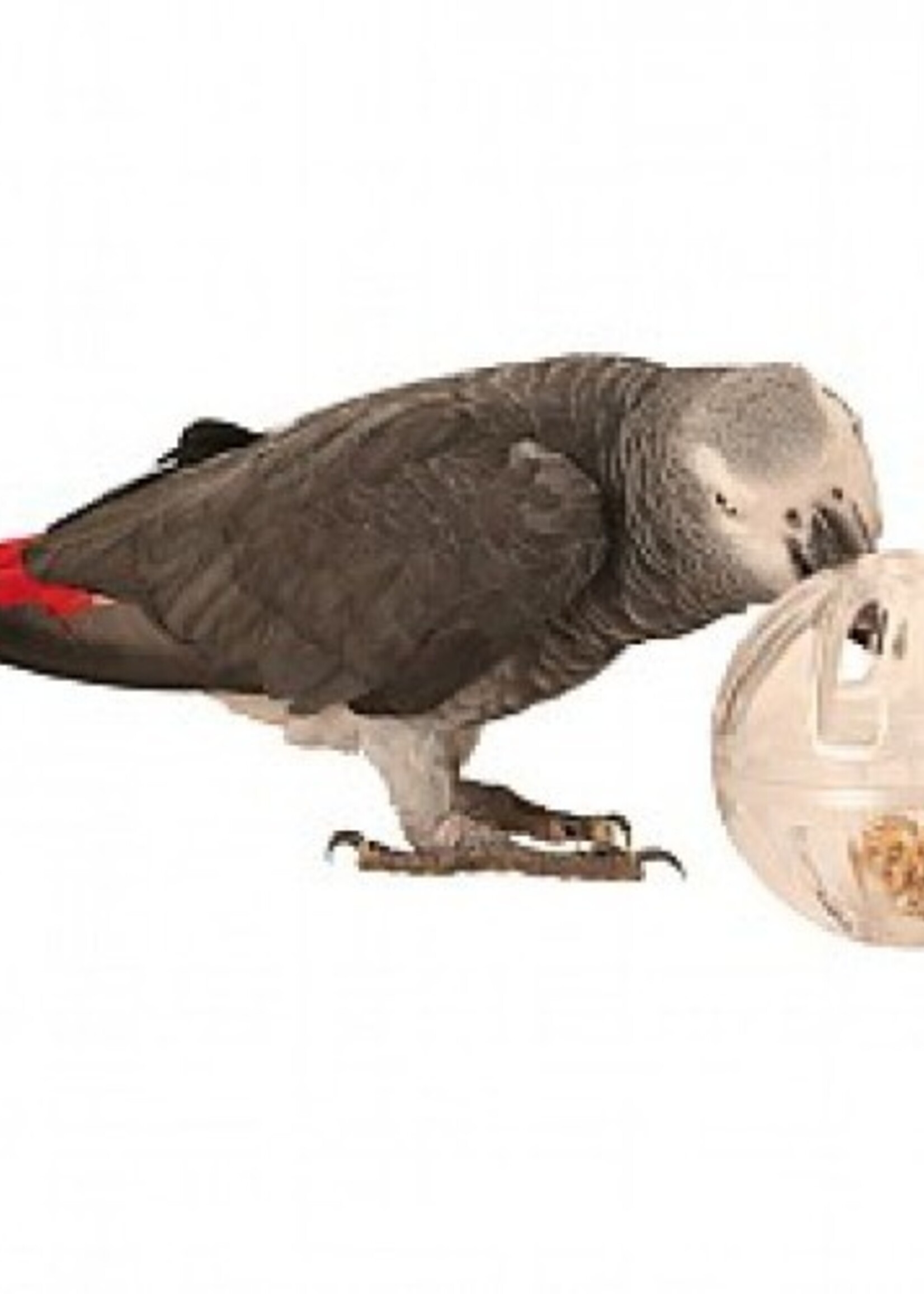 Buffet Foraging Party Ball - Large