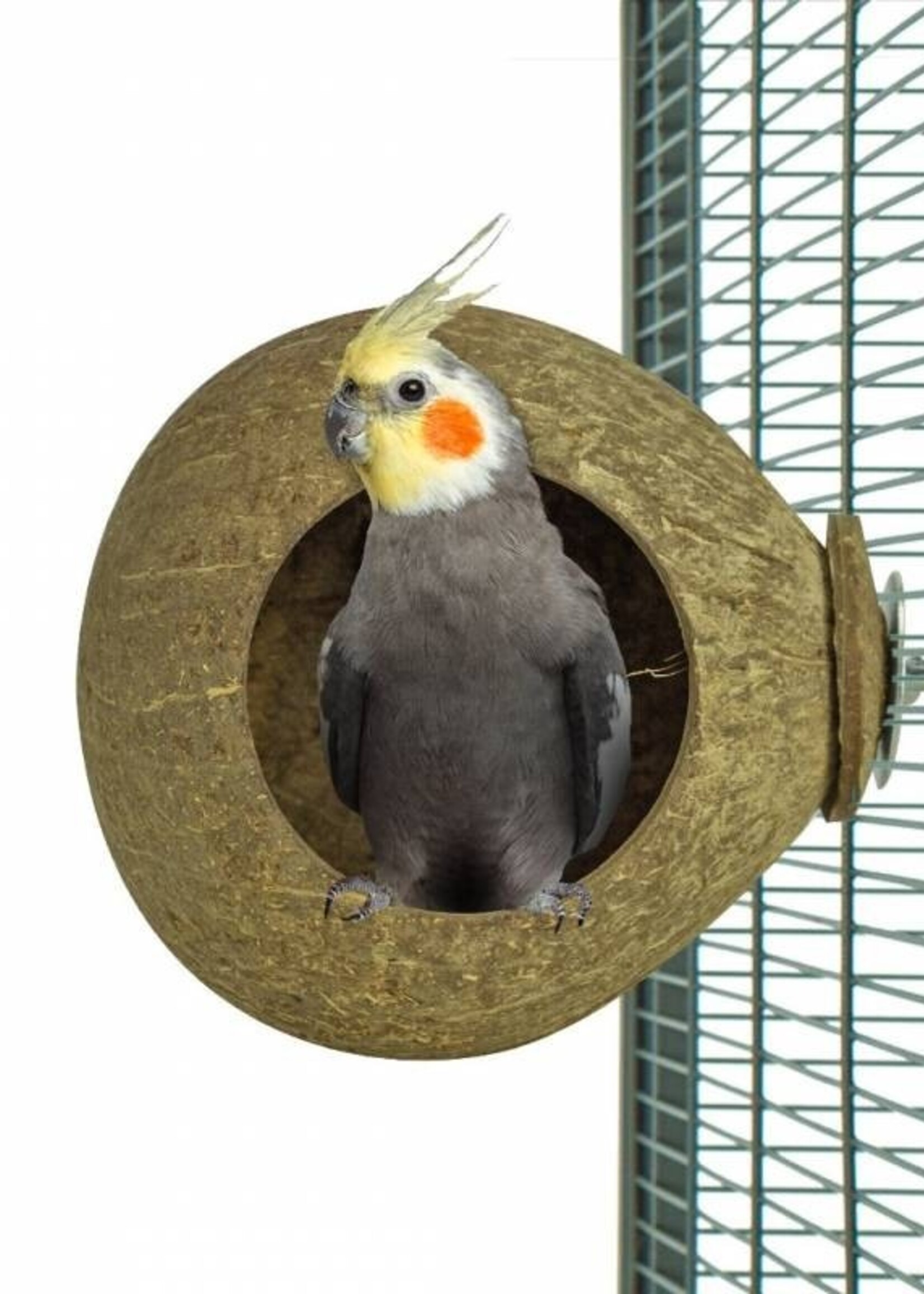 Back Zoo Nature BZN Coconut House