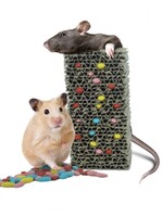 Back Zoo Nature Fill Your Own Treat Block Rodent