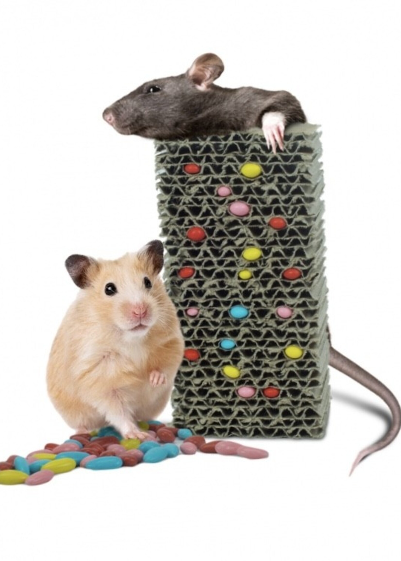 Back Zoo Nature Fill Your Own Treat Block Rodent