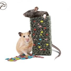 Back Zoo Nature Fill Your Own Treat Block Rodent