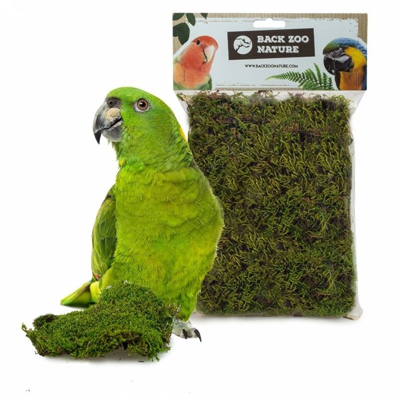 Back Zoo Nature Forest Moss Bird 70 gram