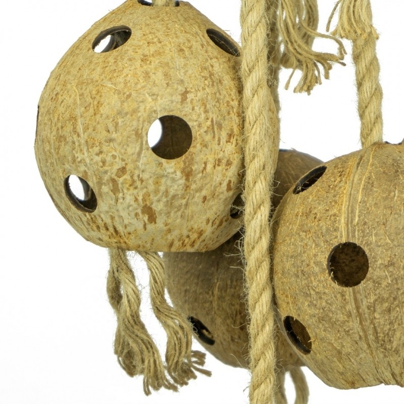 Back Zoo Nature Coconut Chain XL