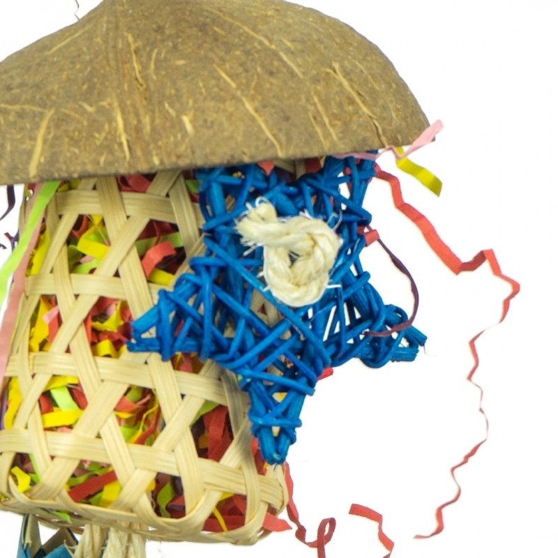 Back Zoo Nature Firecracker