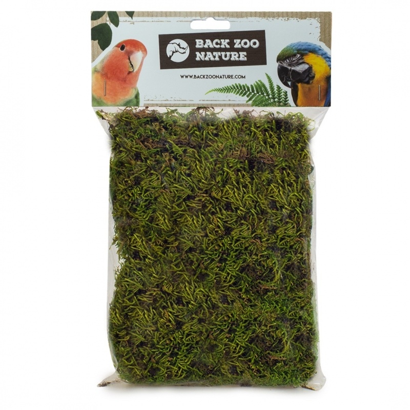 Back Zoo Nature Forest Moss Bird 70 gram