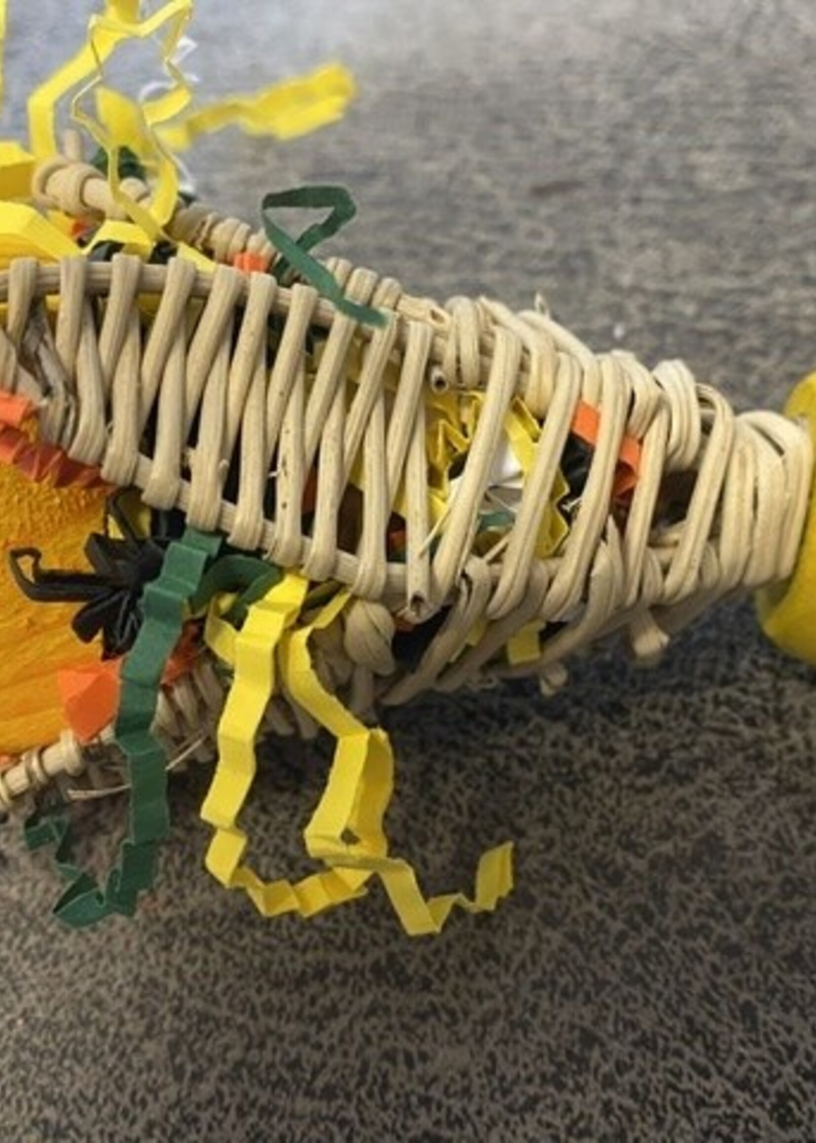 Gaaien-frutsels Tulp foerage