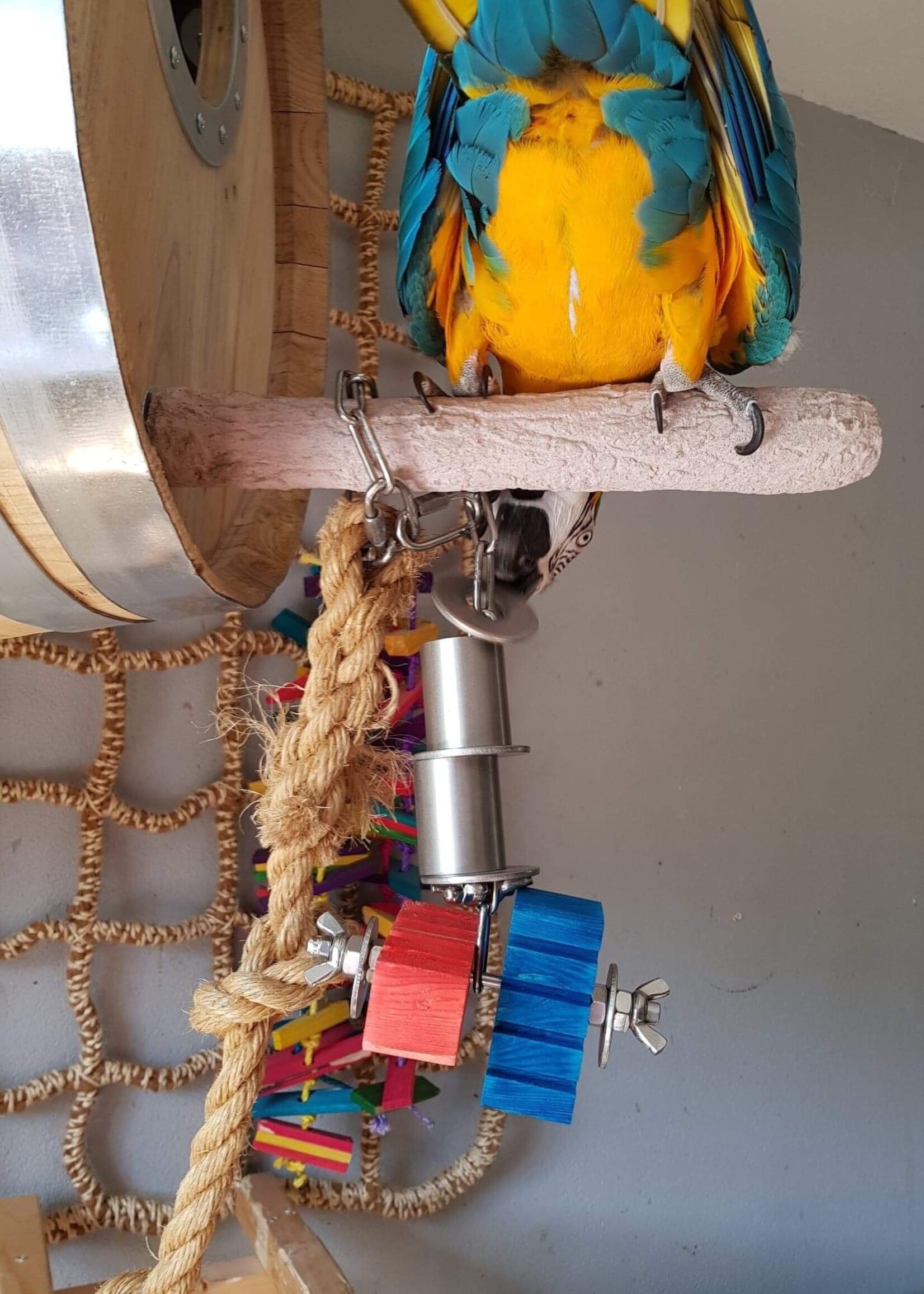 Gaaien-frutsels Ara play dubbel op