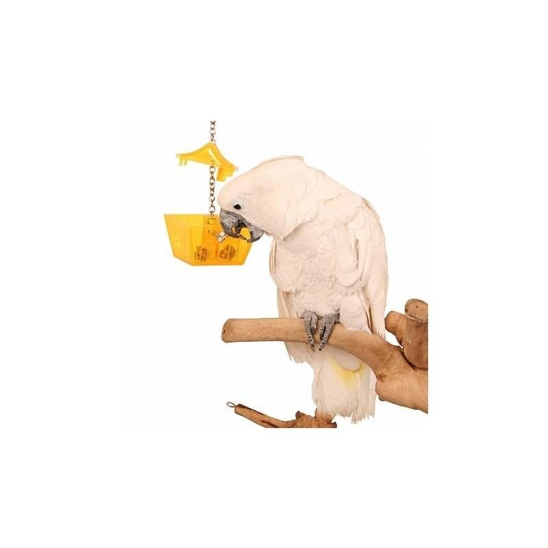 Birdy Einstein Parrot's Treasure