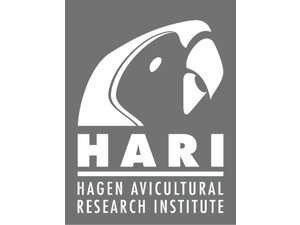 Hari