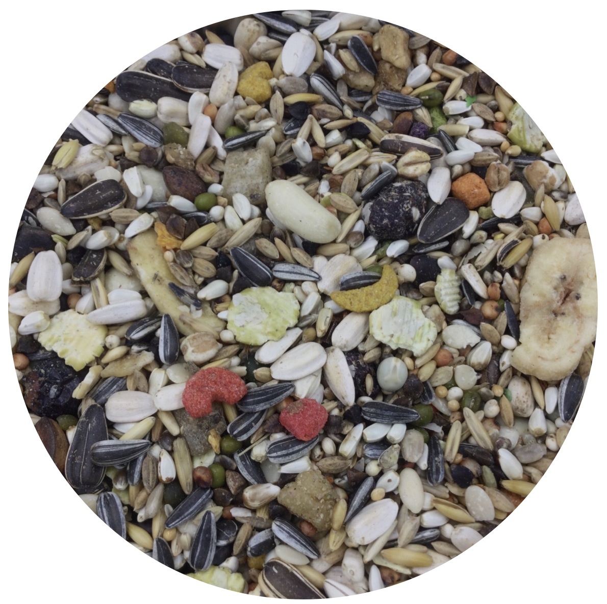 Premium Complex Grijze roodstaart 2 kg