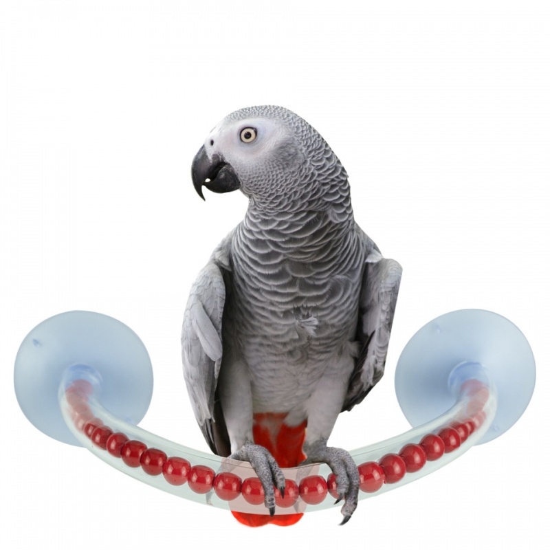 Petlala Happy Shower Perch Large
